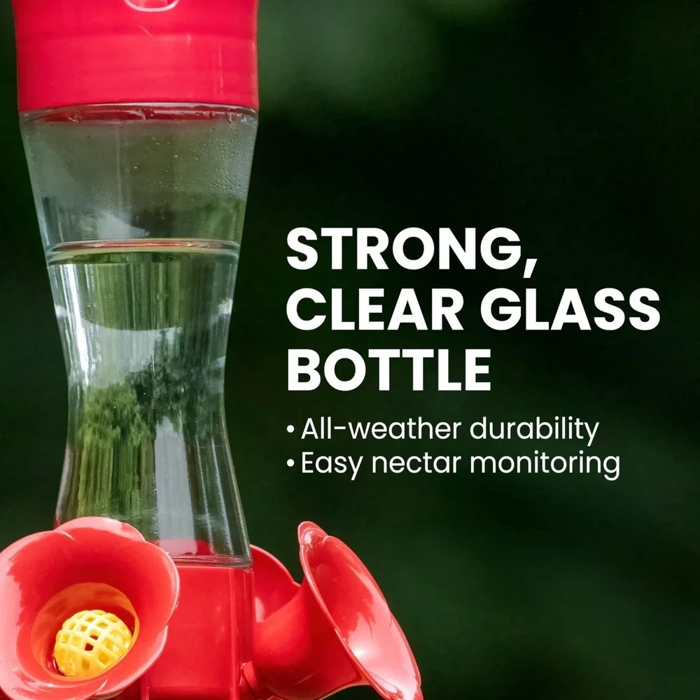 Perky-Pet 203CPBN Hummingbird Feeder